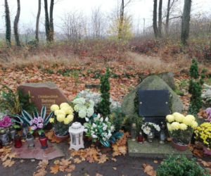 Wyjątkowo kolorowa jesień w Gminie Iława. Wszędzie chryzantemny!