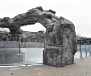 Pingwiny wracają do Śląskiego ZOO