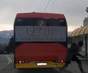 Bielsko-Biała. Jechał na zderzaku autobusu! To nagranie jest hitem [ZDJĘCIA]
