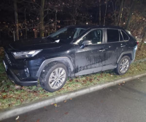 Miszczowie parkowania w Katowicach. Ich nikt tego nie nauczył