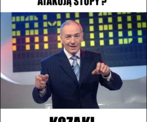 Trwa sezon na grzyby! Oto najlepsze memy o grzybiarzach!