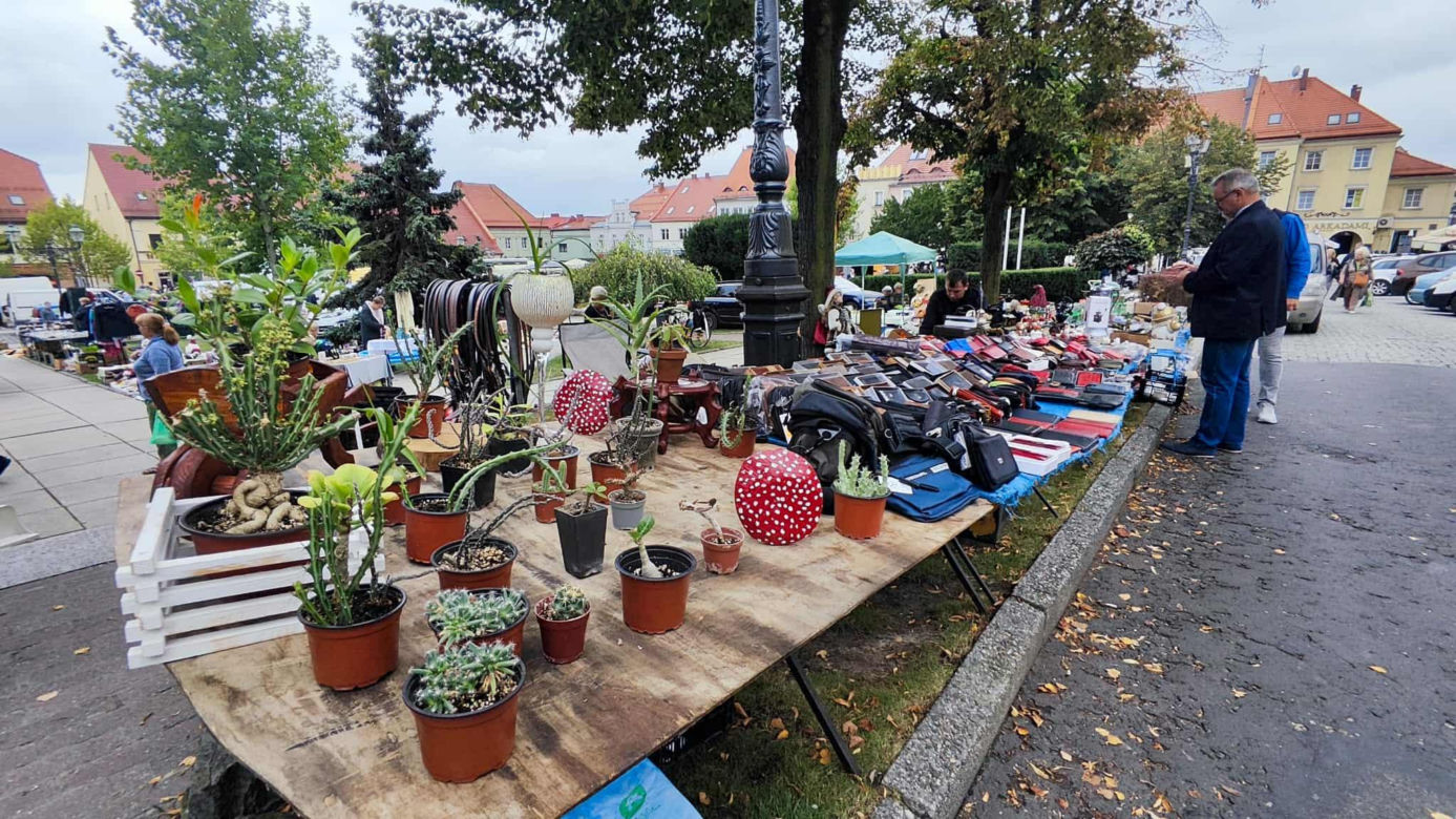 Jarmark Staroci w Wodzisławiu Śląskim