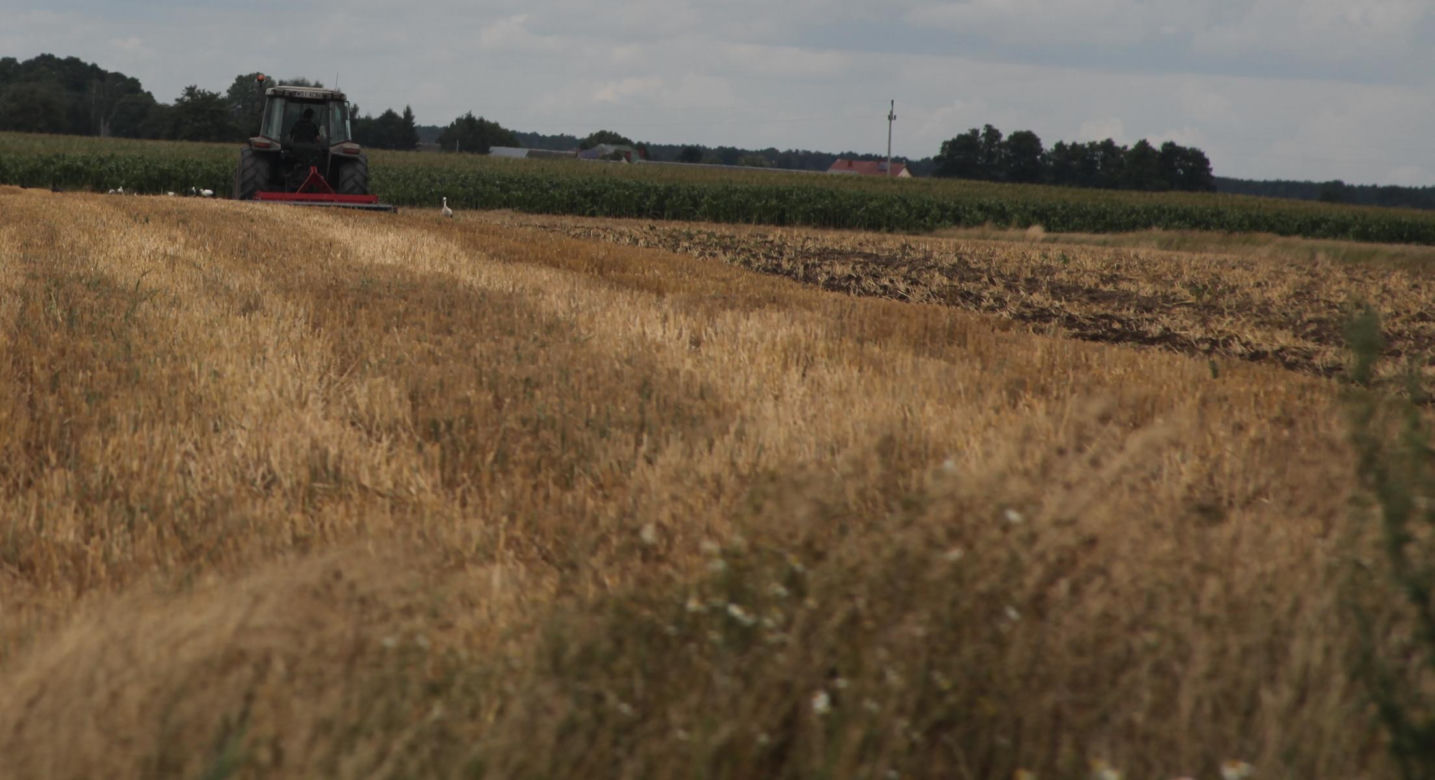 Blondynka zmiażdżyła jądro rolnikowi. Grozi mu amputacja!