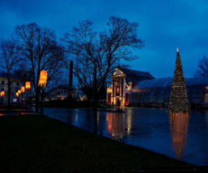 Lublin: Świąteczne iluminacje już działają! Podobają się Wam? [GALERIA]