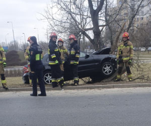 Huknął w drzewo, połamał latarnię. Pijany kierowca kompletnie rozbił mercedesa