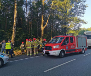Bez prawa jazdy i na podwójnym gazie wjechał w drzewo. Wszystko na oczach policjanta [FOTO]