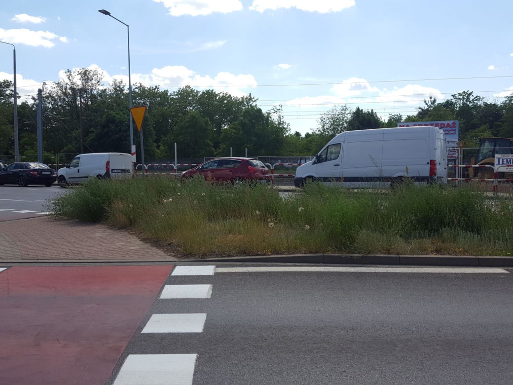 Tak wysokich chwastów przy drogach w Lesznie dawno nie oglądaliśmy