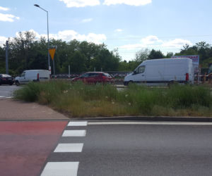 Tak wysokich chwastów przy drogach w Lesznie dawno nie oglądaliśmy