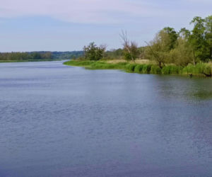 Tramwaj wodny Szczecin - Mescherin - Gartz