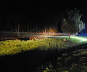 Annówka: Horror na drodze. Śmierć po zderzeniu z łosiem