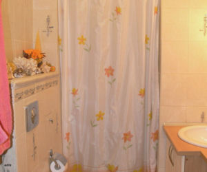 Zdjęcie 3618