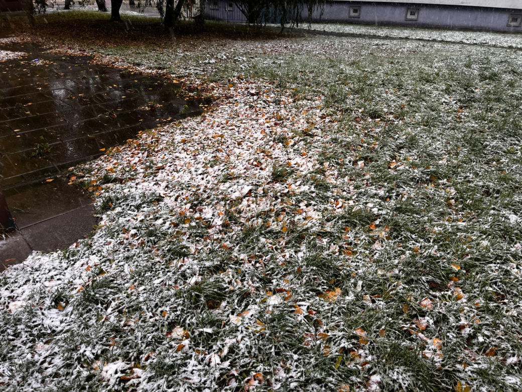 Pierwszy śnieg w Szczecinie