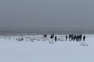 Bałtyk zimową porą, uchwycony w kadrach