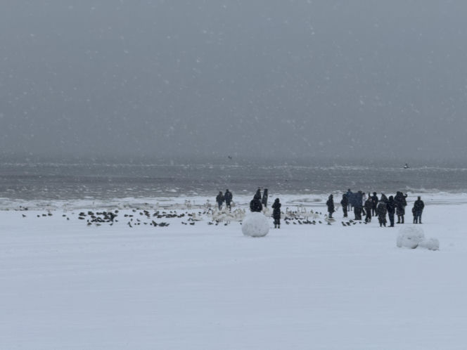 Bałtyk zimową porą, uchwycony w kadrach
