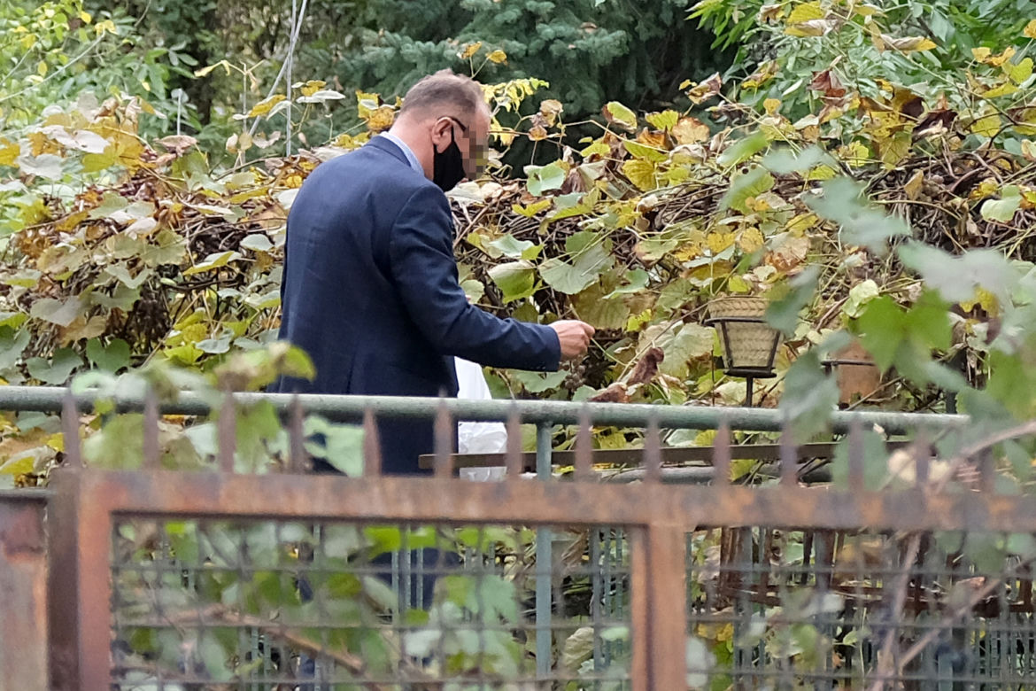 Winobranie u prezesa