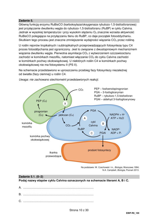 Matura biologia arkusz formuła 2015