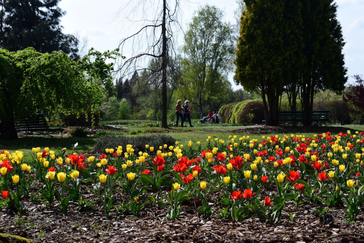 Ogród Botaniczny PAN w Powsinie