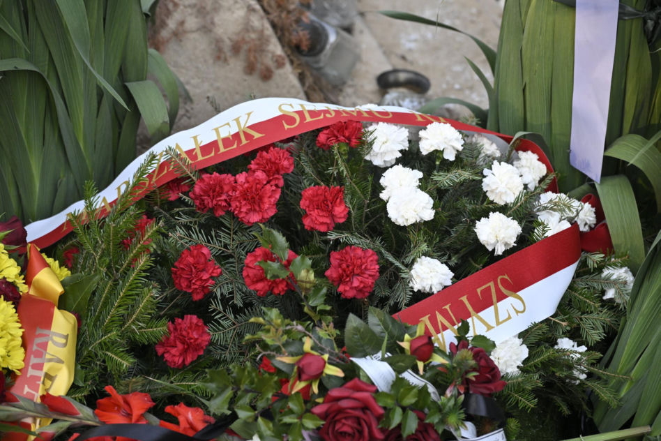 Grób Stanisława Sojki
