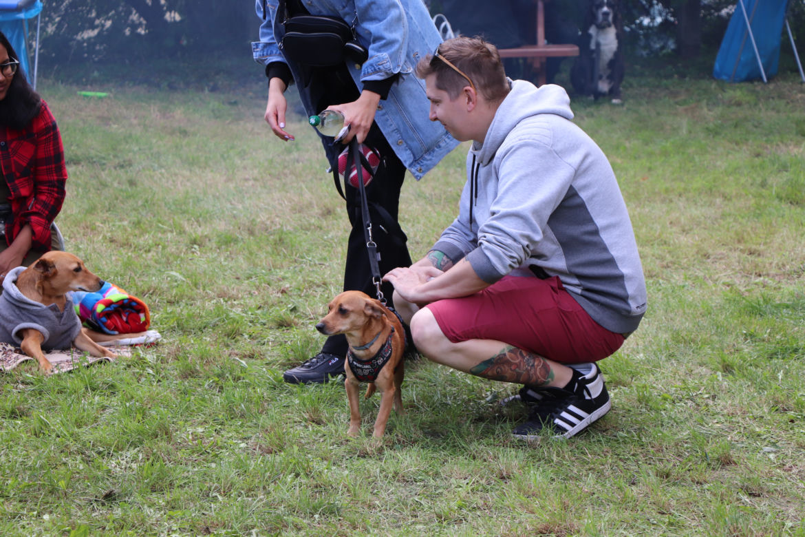 IX Piknik Przyjaciół Schroniska w Toruniu