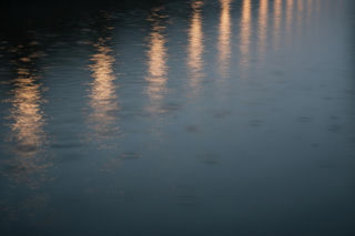 Mężczyzna wyłowiony z Czerniejówki w Lublinie. Co doprowadziło do tragicznego finału?