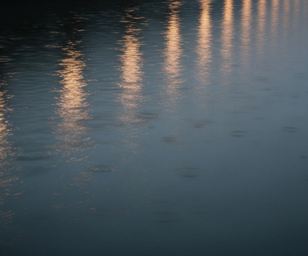 Ciemnogranatowa powierzchnia wody pokryta jest licznymi, niemal pionowymi refleksami światła w kolorze pomarańczowo-złotym, szczególnie intensywnymi w górnej części obrazu. Na wodzie widoczne są również drobne, koncentryczne kręgi, sugerujące spadające krople deszczu. Gdzieniegdzie światło odbija się nierównomiernie, tworząc rozmyte, poziome smugi. Całość utrzymana jest w chłodnych odcieniach, z wyjątkiem ciepłych blasków.