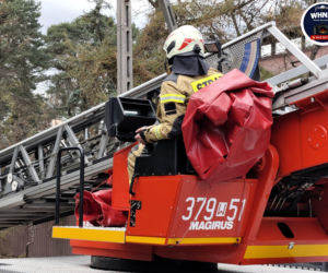 Interwencje Strażaków przy likwidacji szkód spowodowanych przez gwałtowny wiatr i burze