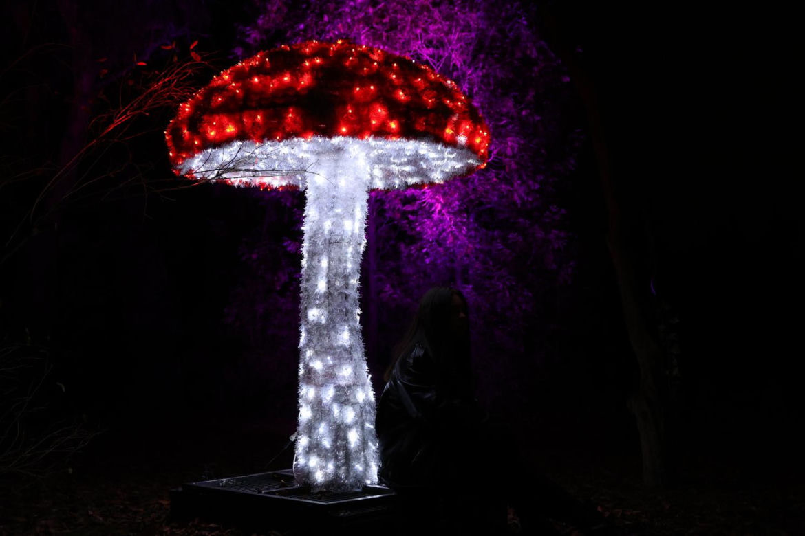 Park iluminacji 2023 w Lublinie