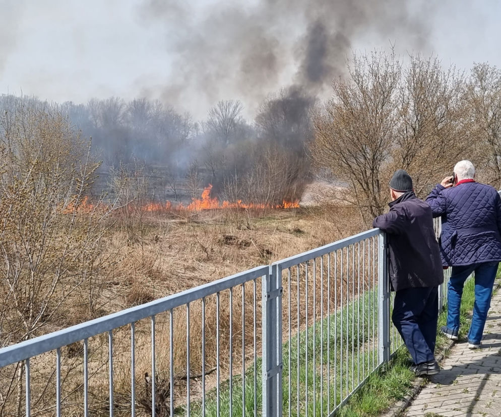 Gigantyczny pożar w Warszawie. Płomienie bardzo szybko się rozprzestrzeniają!