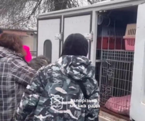 Atak na schronisko dla zwierząt Zaporoże