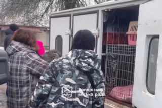 Atak na schronisko dla zwierząt Zaporoże