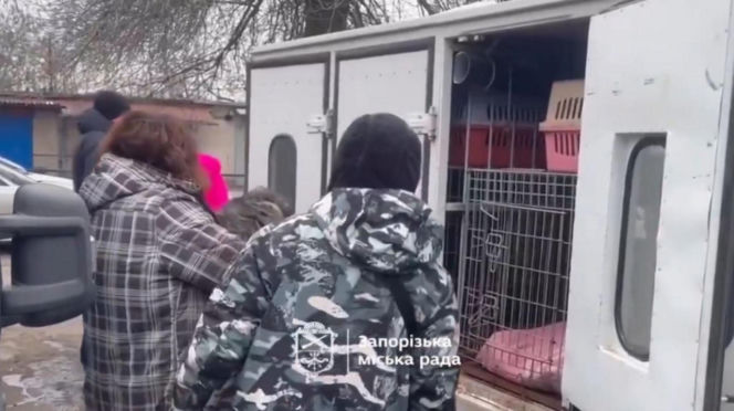 Atak na schronisko dla zwierząt Zaporoże