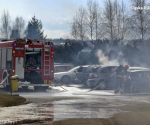 Chcieli wypalić trawę. Spalili 6 samochodów