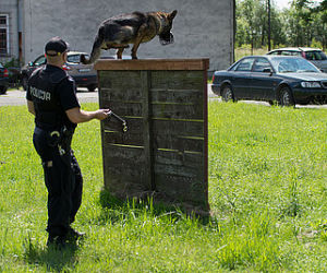 Turniej psów policyjnych w Zaczerniu koło Rzeszowa
