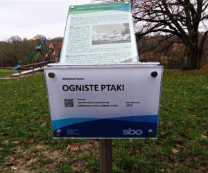 Ogniste czy Płonące? Dwa opisy rzeźby w Parku Kasprowicza