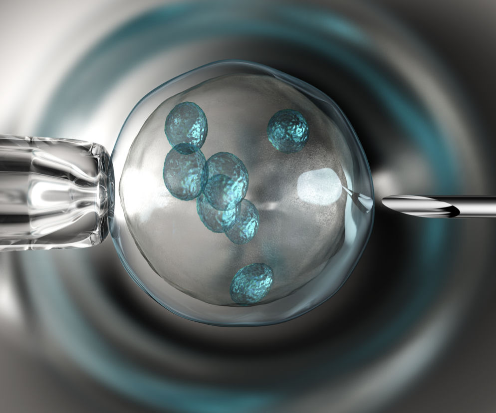 Inseminacja