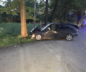 Wypadek w miejscowości Dłużec
