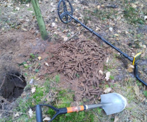 600 sztuk amunicji w starachowickich lasach