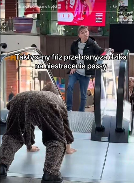 Friz przebrany za dzika