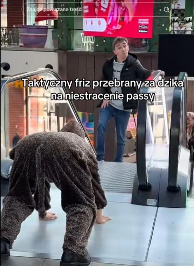 Friz przebrany za dzika