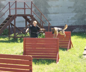 Dwa nowe psy w szczecińskiej policji