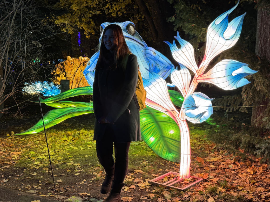 Garden of Lights we Wrocławiu