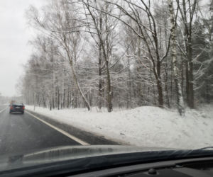 Zima na Podkarpaciu  [ZDJĘCIA]