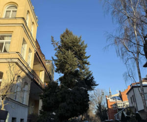 Punkt jest otwarty dla wszystkich, którzy w trudnych warunkach pogodowych potrzebują wsparcia