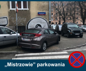 Mistrzowie Parkowania: Zobacz najbardziej kuriozalne pomysły kierowców