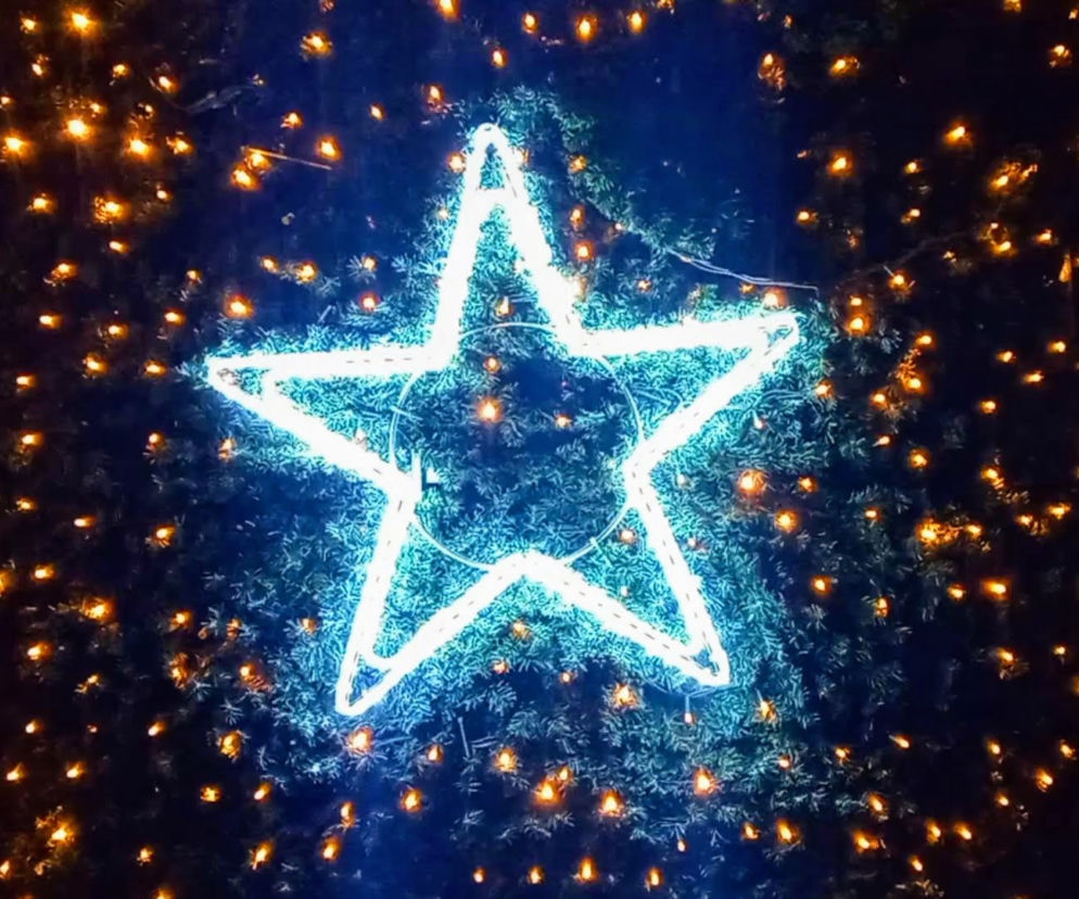 Iluminacje bożonarodzeniowe w Szczecinie