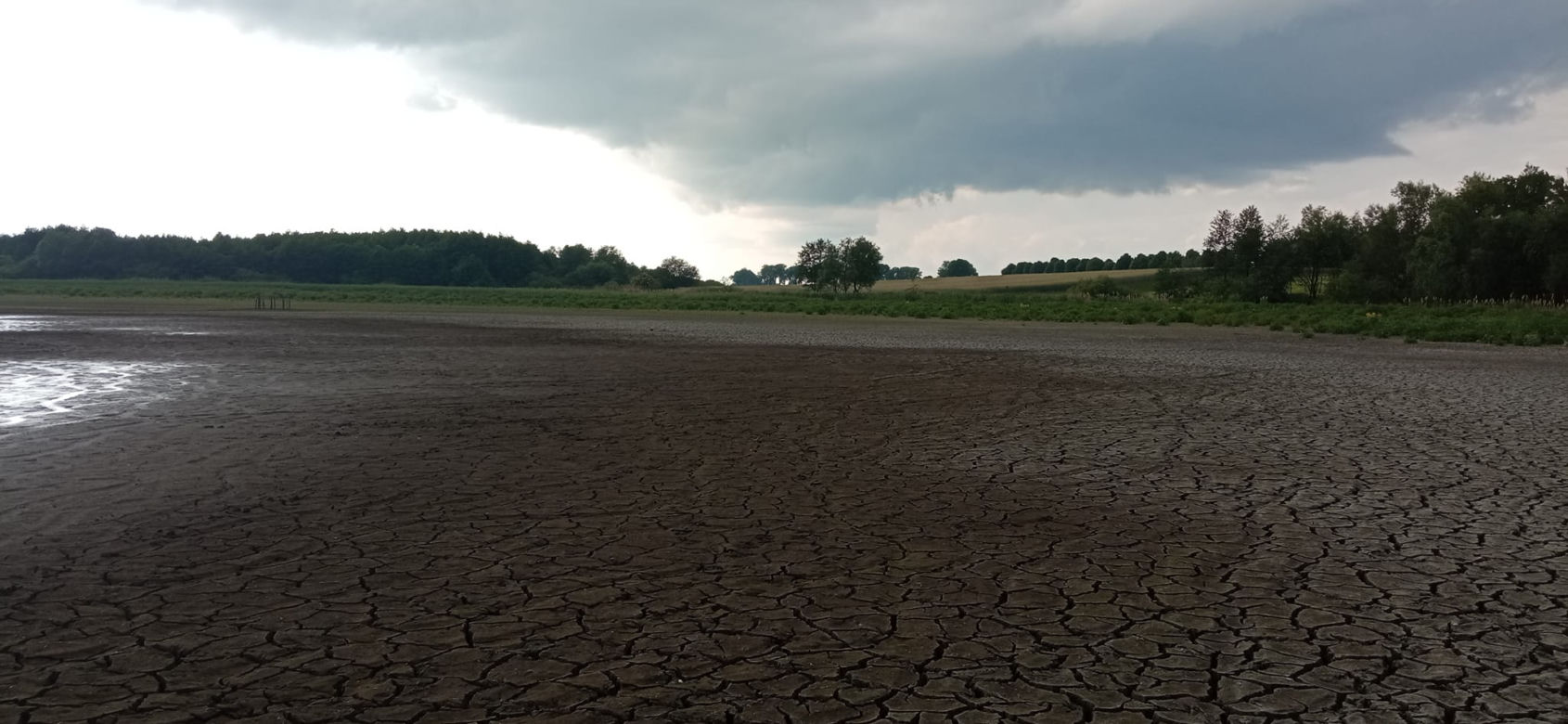 Wyschnięte jezioro w Skrzatuszu pod Piłą