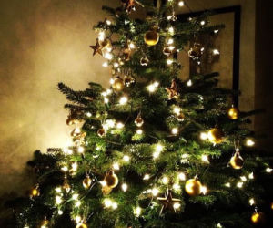 CHOINKI GWIAZD: jak celebryci ubierają choinki