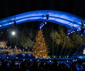 Melania Trump zapaliła choinkę przed Białym Domem! Podoba Ci się?