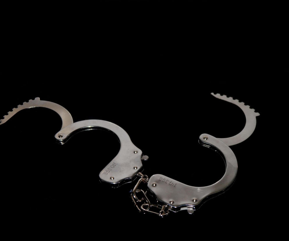 Kalisz. Zabił psa ze szczególnym okrucieństwem. 40-latkowi grozi do 5 lat pozbawienia wolności 