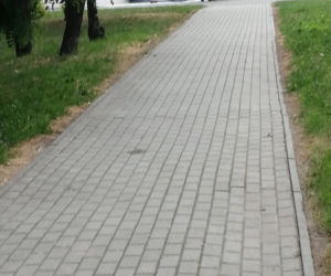 Pożary samochodów w Rzeszowie i pod Krosnem. Auta spłonęły doszczętnie! 